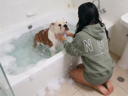 SAGE GREEN GEMINI - Peach Finish Oversized Hoodie with OUTLINE Text